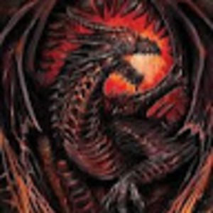 Meet your Posher, Owen